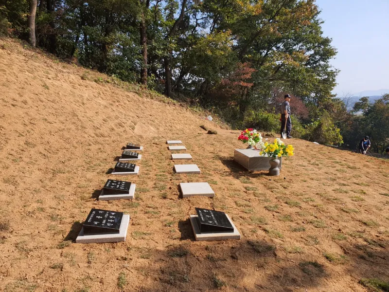 경사지에 조성된 가족 평장묘역 전경